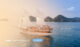 The-Best-Komodo-Private-Boat-Tours